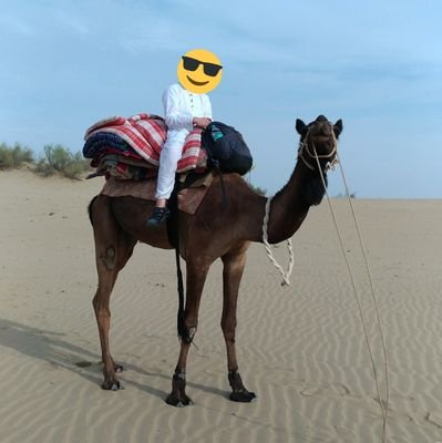 yutoriboy1's profile picture. 旅行とラジオとエアライダーが好き