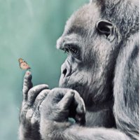 Ali (@grimovs) Twitter profile photo