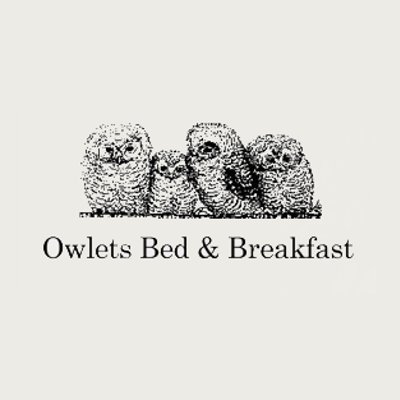 Owlets Bed & Breakfast have three clean & comfortable rooms with a choice of either our excellent full English or continental breakfast with a great night's sle