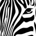 HPH Publishing (@hphpublishing_) Twitter profile photo HPH Publishing (@hphpublishing_) Twitter profile photo