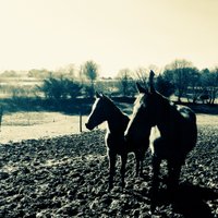 Chloé Pathé (@chloepathe) 's Twitter Profile Photo