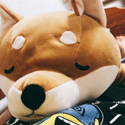 mac_paca's profile picture. 