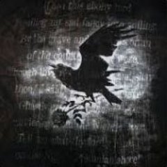 Raevyn85's profile picture. Australian. Male. Fan of all things roleplay. Geek. Casual Gamer. Lover of Birds & Reptiles.