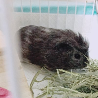 xtMLAI4u8gW2dFk's profile picture. 時間催促しないで下さい。あゝのんびりしていたい。。。