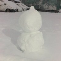 ゆきだるま (@yoikuuki) 's Twitter Profile