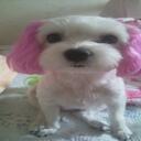 junghwa kim - @wjdghkek00 - Twitter