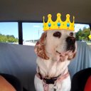 Kari Elam - @kari_elam - Twitter