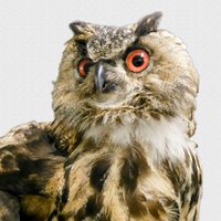 UiBNHKons (@uibnhkons) 's Twitter Profile Photo UiBNHKons (@uibnhkons) 's Twitter Profile Photo
