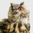 UiBNHKons's profile image