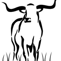 BHSLonghorns (@bhslonghorns) 's Twitter Profile