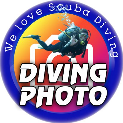 Diving Photo Profile