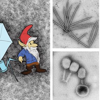 Science, networking and fun about microbial viruses!