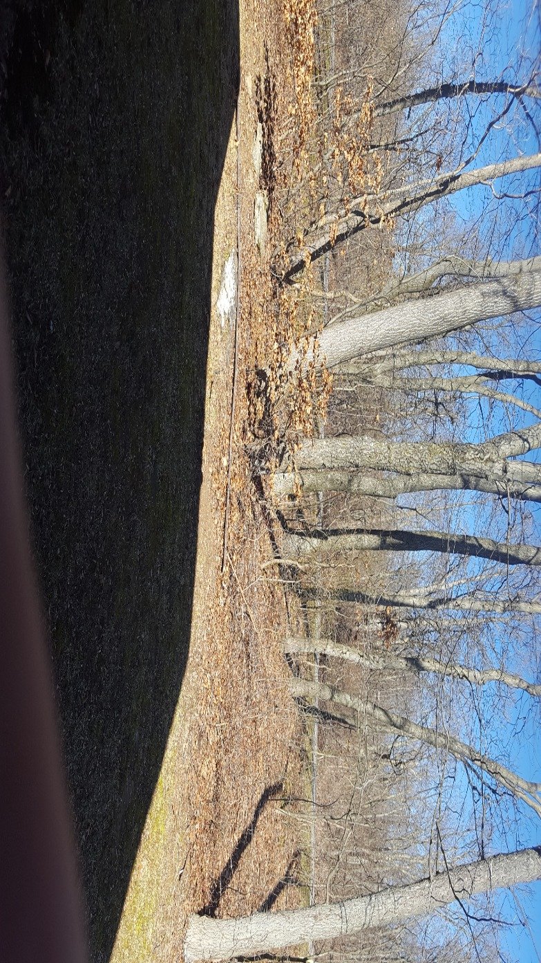 Davidgraber10's profile picture. I want promote God, trump,and have fun . I do have dry  humor so if I offend you make sure I'm not kidding you.   I will not offend anyone but a liberal