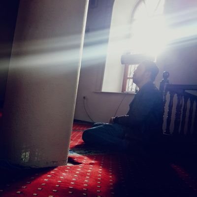 sevki145313's profile picture. neyi? kimi? neden? seviyoruz ???