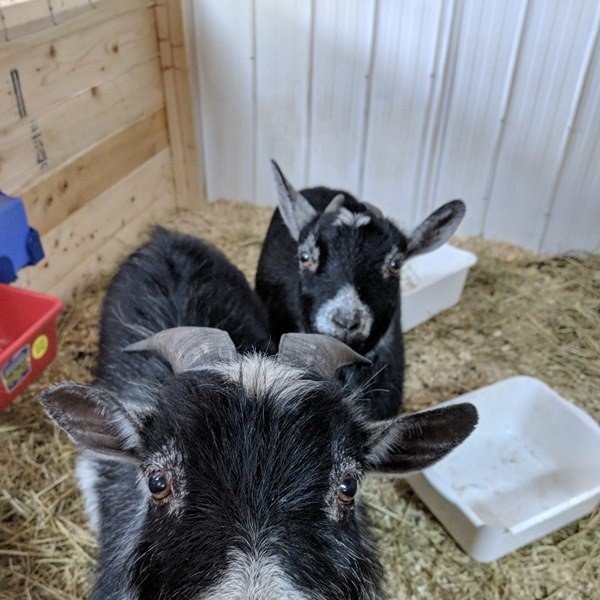 homer680's profile picture. retraité