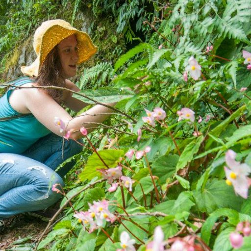 I study plants and genomes 🌿🧬🙂
Previously working with @darwintreelife, @TheBotanics and @EdinburghUni. Currently @CRAGENOMICA.