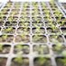 Stone Barns Growing Farmers (@sbgrowingfarmer) Twitter profile photo Stone Barns Growing Farmers (@sbgrowingfarmer) Twitter profile photo