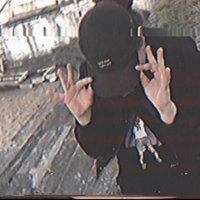 Bonsai Barnacle (@wallace98andrew) Twitter profile photo