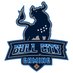Bull City Gaming (@DurhamNCGaming) Twitter profile photo