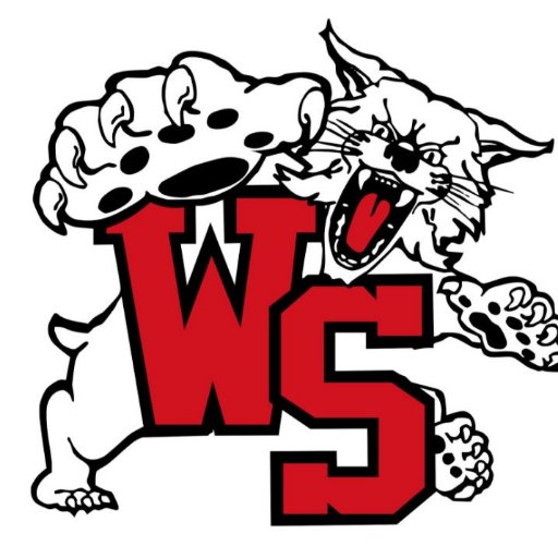 WSouthLacrosse's profile picture. 