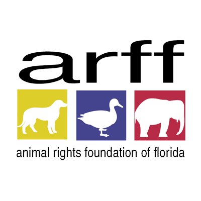 Promoting and protecting the rights of all animals