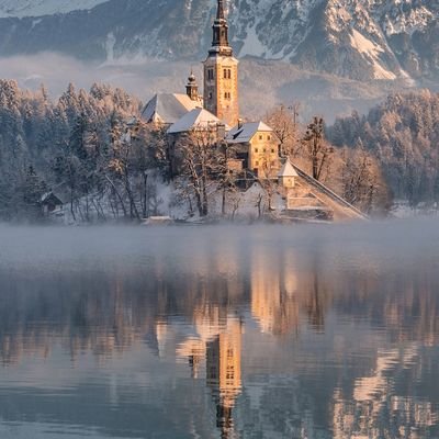 DuyguAlpaslan15's profile picture. 