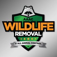 AAAC Wildlife Removal of Tulsa(@AAACofTulsa) 's Twitter Profile Photo