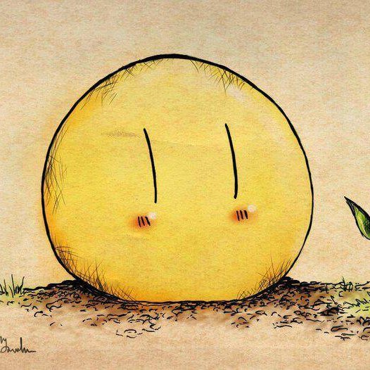 Dangodangolol's profile picture. 