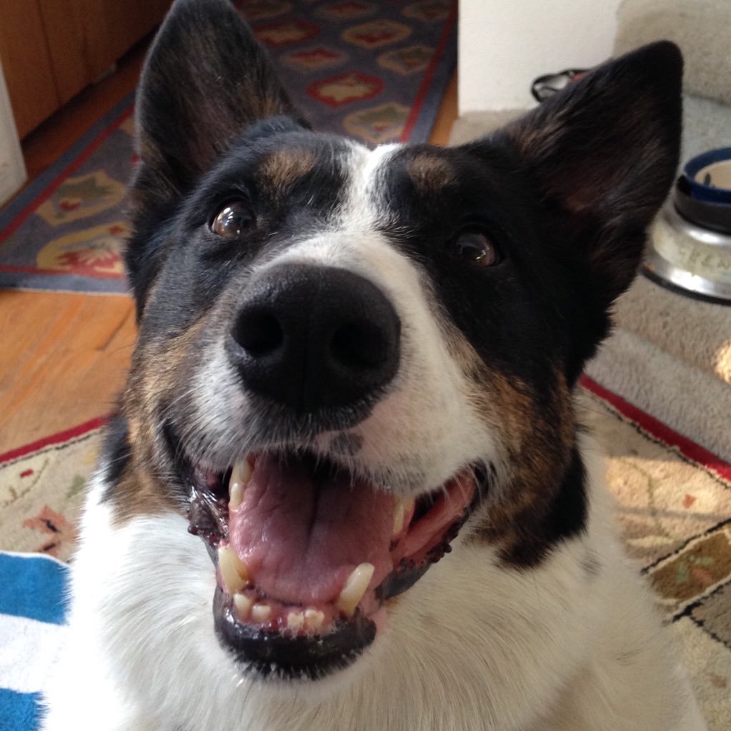 rasrav's profile picture. 