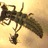 azorica's profile image