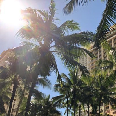 saochabin's profile picture. 2児mama/ポイ活/ケーコジ初心者/副業