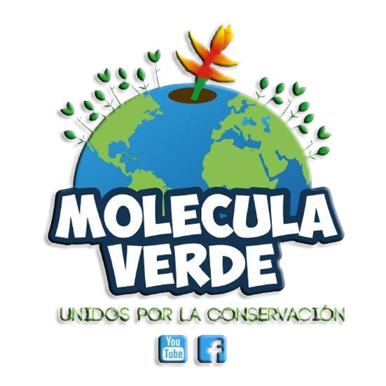 Bienvenidos a la cuenta oficial de la Fundación Ambiental Molécula Verde, del municipo de #Rivera #Huila. Porque estamos #UnidosporlaConservación
