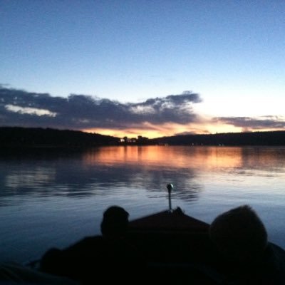 davidrais7's profile picture. 