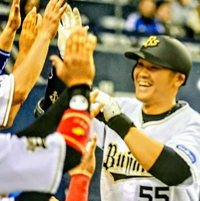 プロ野球と応援歌が好きな人
