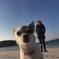 lord urquhart (@howdenender86) 's Twitter Profile