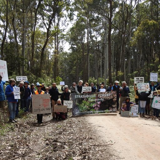 Save Our Strathbogie Forests (SOSF)