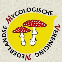 NMV-Mycologen(@NedMycVer) 's Twitter Profile Photo