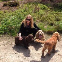 Prof Vivian Hill 💙 (@vivianedpsych) 's Twitter Profile Photo Prof Vivian Hill 💙 (@vivianedpsych) 's Twitter Profile Photo