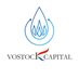 Vostock Capital (@vostockcapital_) Twitter profile photo Vostock Capital (@vostockcapital_) Twitter profile photo