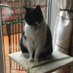 Anne Simpson (@annesim18211612) Twitter profile photo Anne Simpson (@annesim18211612) Twitter profile photo