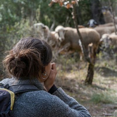 Pasturo ramat d'ovelles. Esquilo.                                       
Quan la injustícia es fa llei, lluitar és un deure!