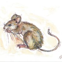 Palette and Pasture (@palette_pasture) 's Twitter Profile