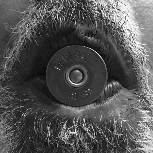 WordsandSticks's profile picture. Good ideas and the strength of character to see them to fruition.