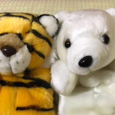 youtube🐻‍❄️🐯🐻やってます。クマックルーBLOGはhttps://t.co/ws1ASjBudc動画での問題、ご依頼等あればTwitterでDMください。 YouTube URLは下記に記載↓ 無言フォロー大歓迎 特撮の話や考察、特撮玩具、イベントの出来事を気楽につぶやいてます。