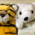 クマックルー&とらちゃんチャンネル Kumackle&Torachan (@kumackle) Twitter profile photo クマックルー&とらちゃんチャンネル Kumackle&Torachan (@kumackle) Twitter profile photo