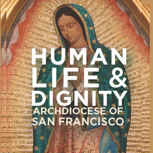 The Office of Human Life & Dignity of the Archdiocese of San Francisco ministers & advocates public policies through the lens of Catholic Social Teaching.