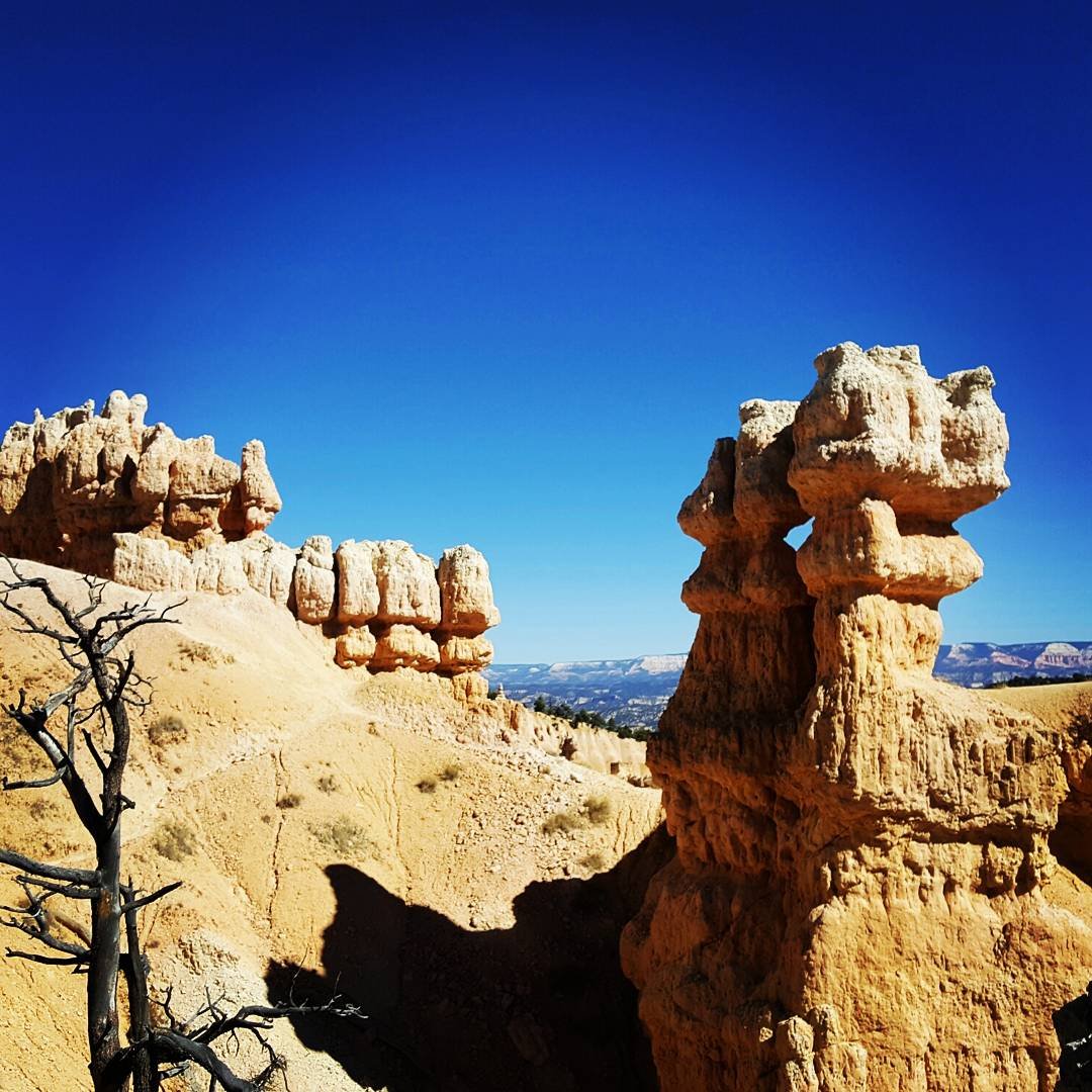 abovetheAVG's profile picture. 