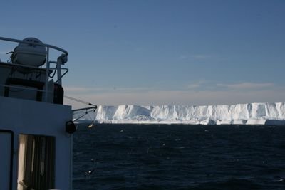 Antarctic fish ecologist, occasional South Georgia resident.