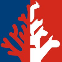 ICRS 2022 - 15. International Coral Reef Symposium (@icrs_2022) 's Twitter Profile