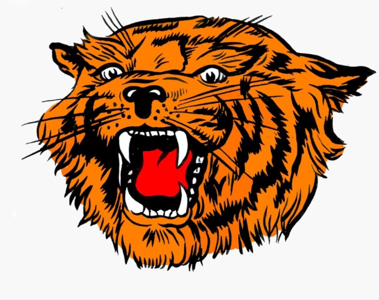 Delmar Wildcats Boys Basketball